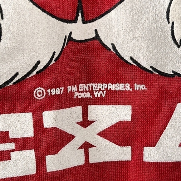 Red Hug Me In Texas 80s Christmas Teddy Bear Vintage Sweatshirt 1987 size XL - Picture 5 of 16